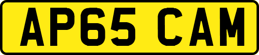 AP65CAM