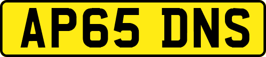 AP65DNS