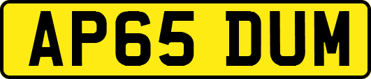 AP65DUM