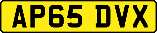 AP65DVX