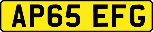AP65EFG