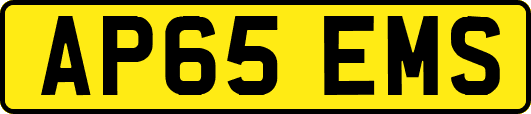 AP65EMS