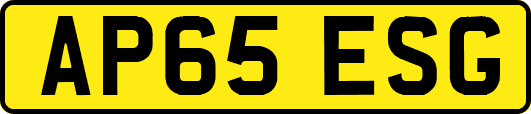 AP65ESG