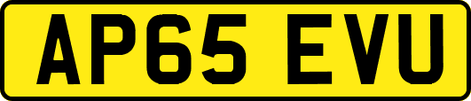 AP65EVU