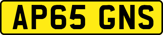 AP65GNS