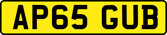 AP65GUB