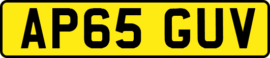AP65GUV