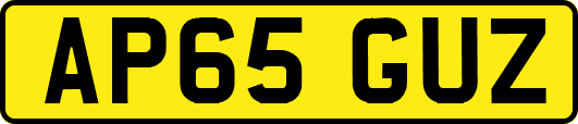 AP65GUZ