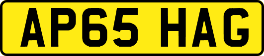 AP65HAG