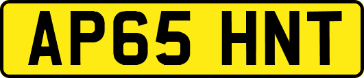 AP65HNT