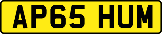 AP65HUM