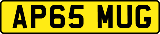 AP65MUG