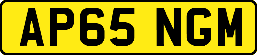 AP65NGM