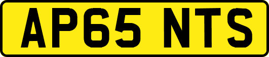 AP65NTS