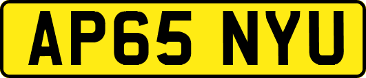 AP65NYU