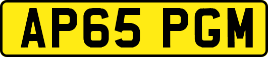 AP65PGM