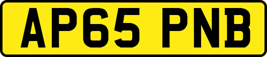 AP65PNB