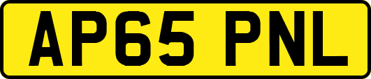 AP65PNL