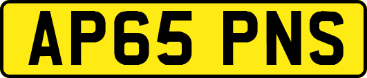 AP65PNS