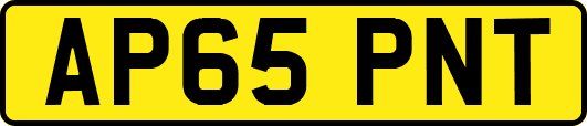 AP65PNT