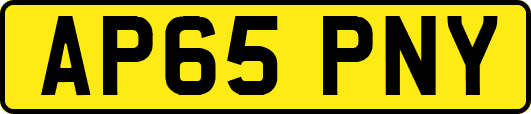 AP65PNY