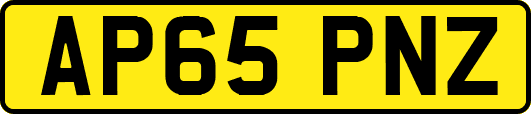 AP65PNZ
