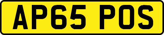 AP65POS