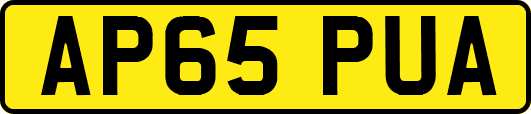 AP65PUA