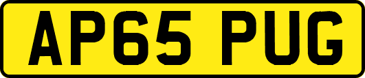 AP65PUG
