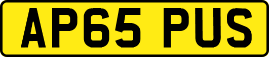 AP65PUS