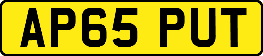 AP65PUT