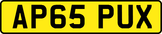 AP65PUX