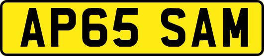 AP65SAM