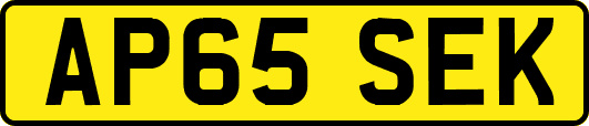 AP65SEK