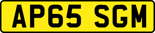 AP65SGM