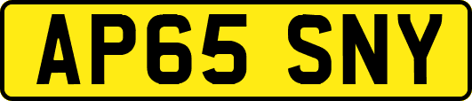 AP65SNY