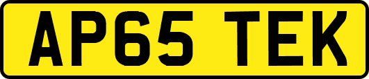 AP65TEK