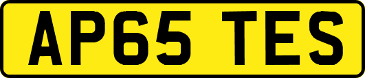 AP65TES