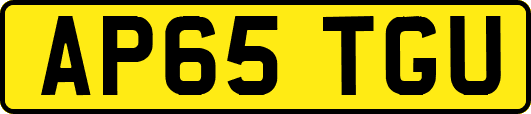 AP65TGU