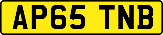AP65TNB