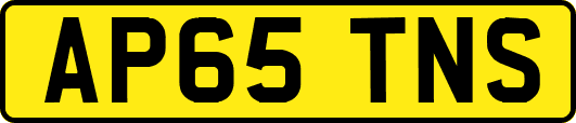 AP65TNS