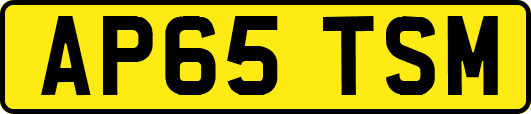AP65TSM