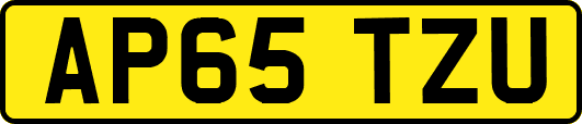AP65TZU
