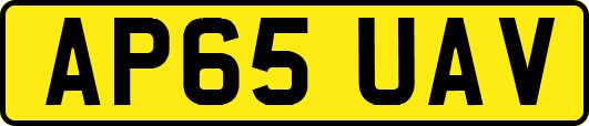 AP65UAV