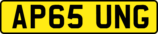 AP65UNG