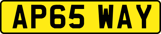 AP65WAY