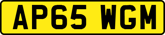 AP65WGM