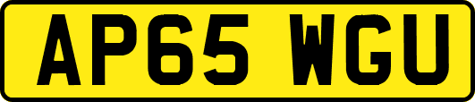 AP65WGU