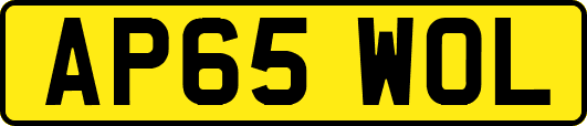 AP65WOL
