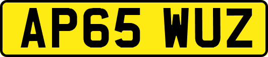 AP65WUZ